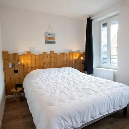 Le Nid D Adele - Centre - 3 Pers - Wifi - A 10min - Parking Gratuit Daire *